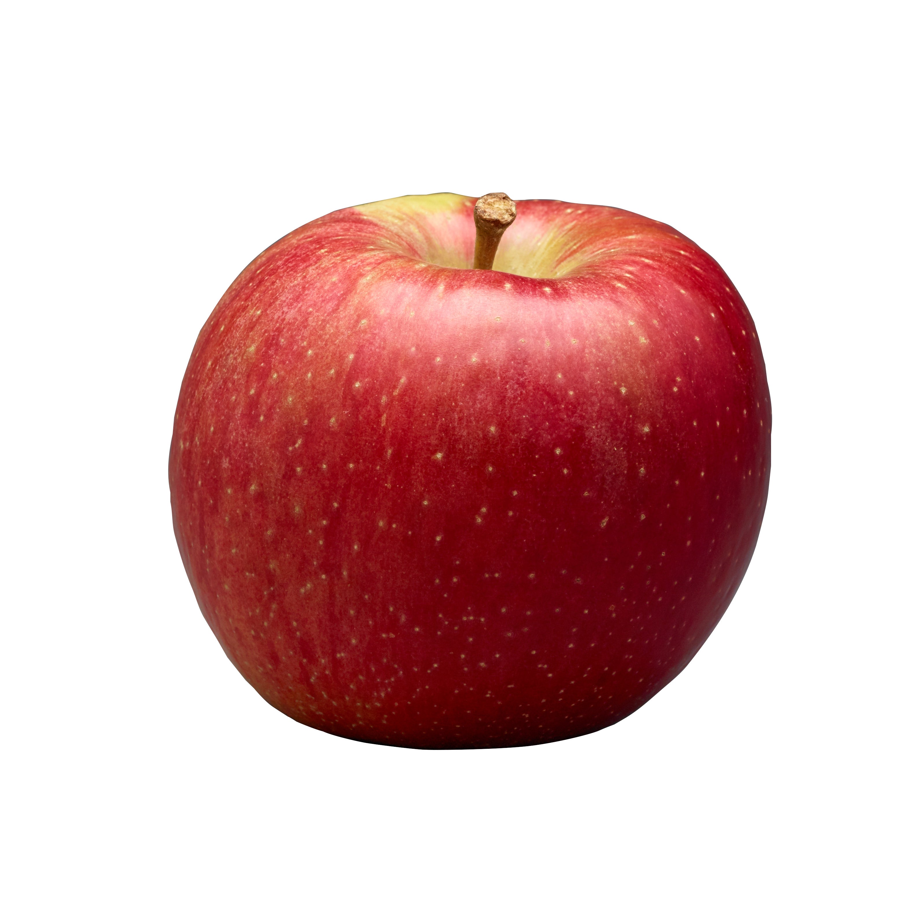 ★Apple★ Apple - Cosmic Crisp 2 count – Biggers Market