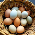 Eggs - Carolina Free Range, 1 dozen- LOCAL