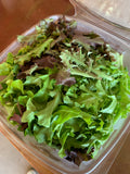 Lettuce- Spring Mix 8 oz - LOCAL