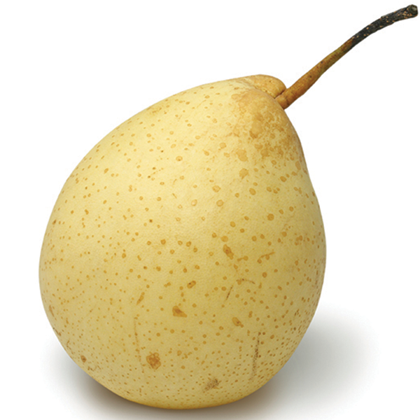 Pear (Asian) 1 count