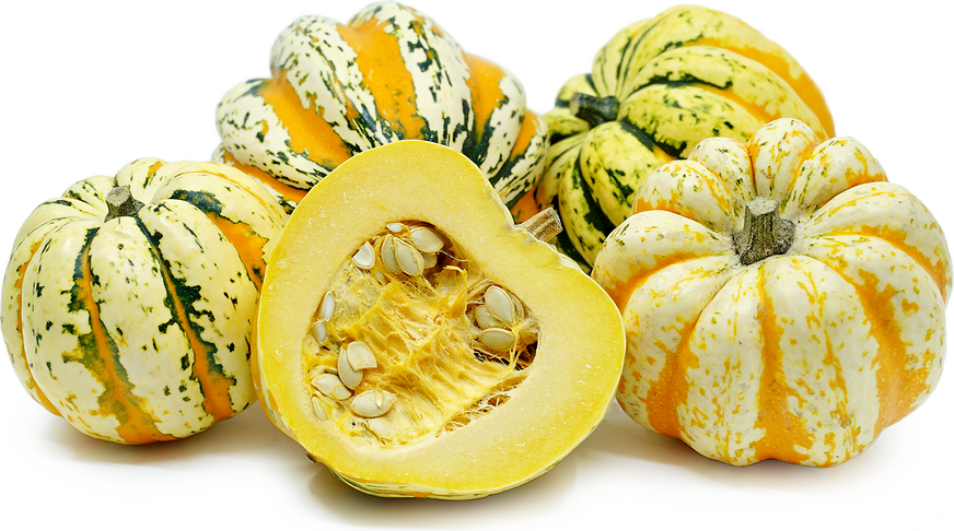 Squash, Carnival - each