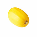 Squash- Spaghetti- 1 ct.