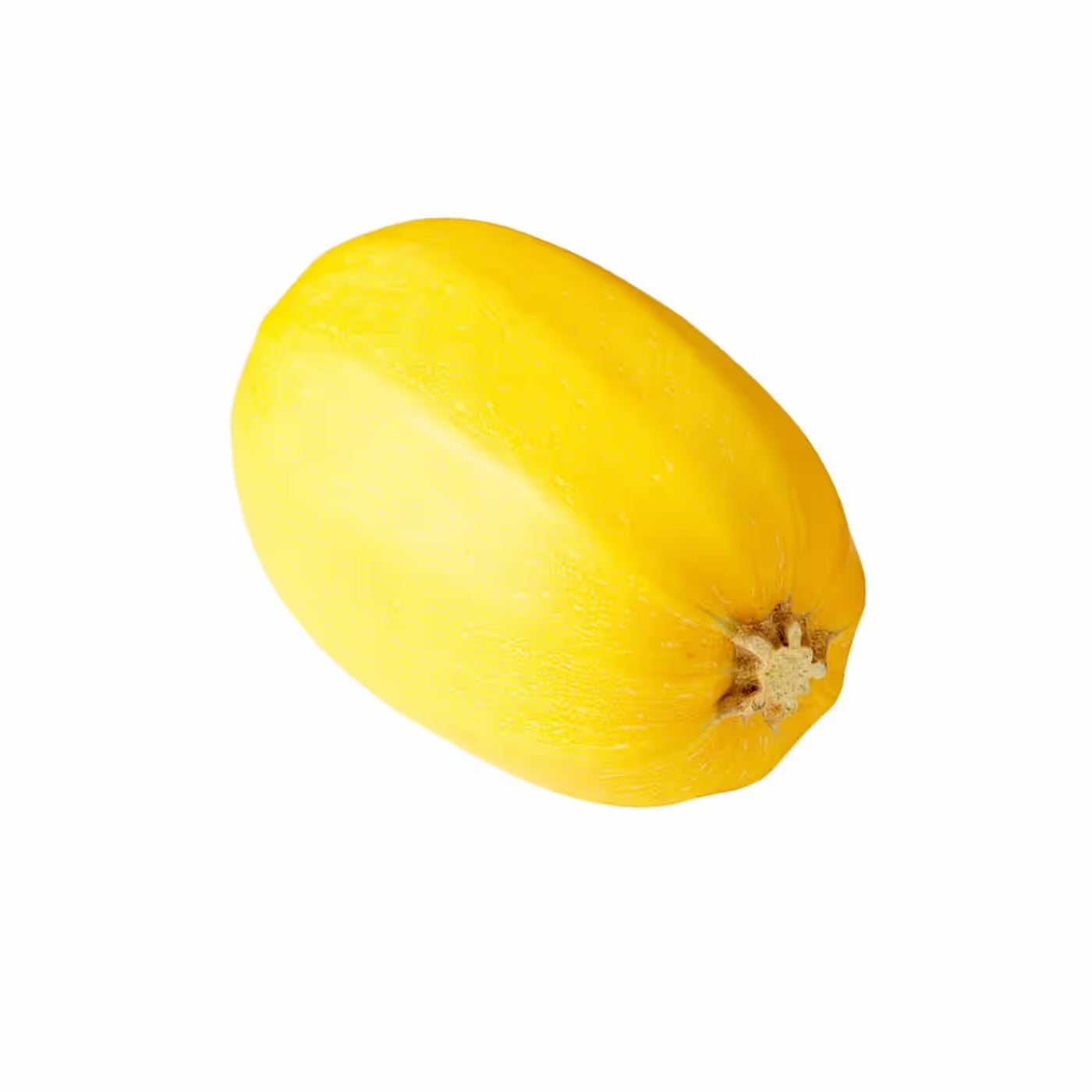 Squash- Spaghetti- 1 ct.