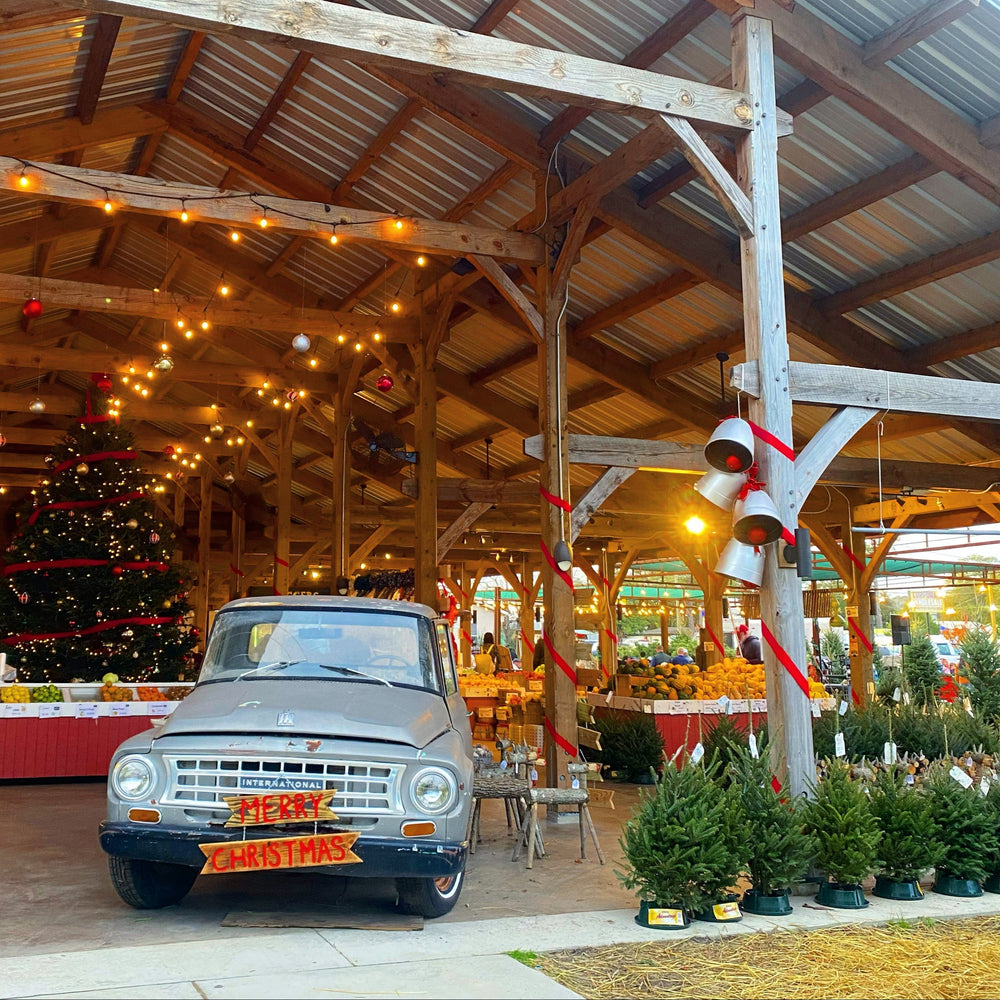 Christmas trees and holiday greenery at Biggers Market