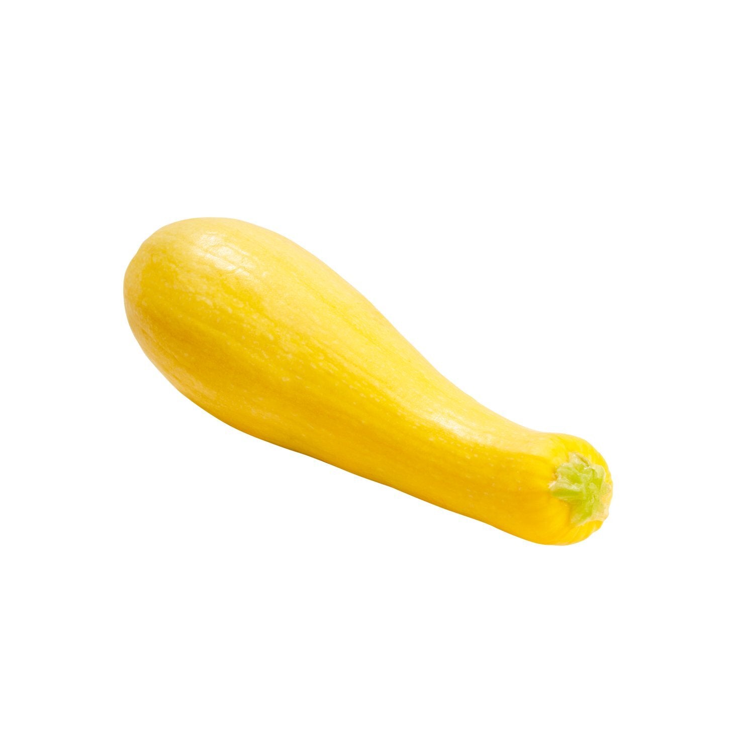 Squash- Yellow Zucchini- 1 lb.- LOCAL & ORGANIC