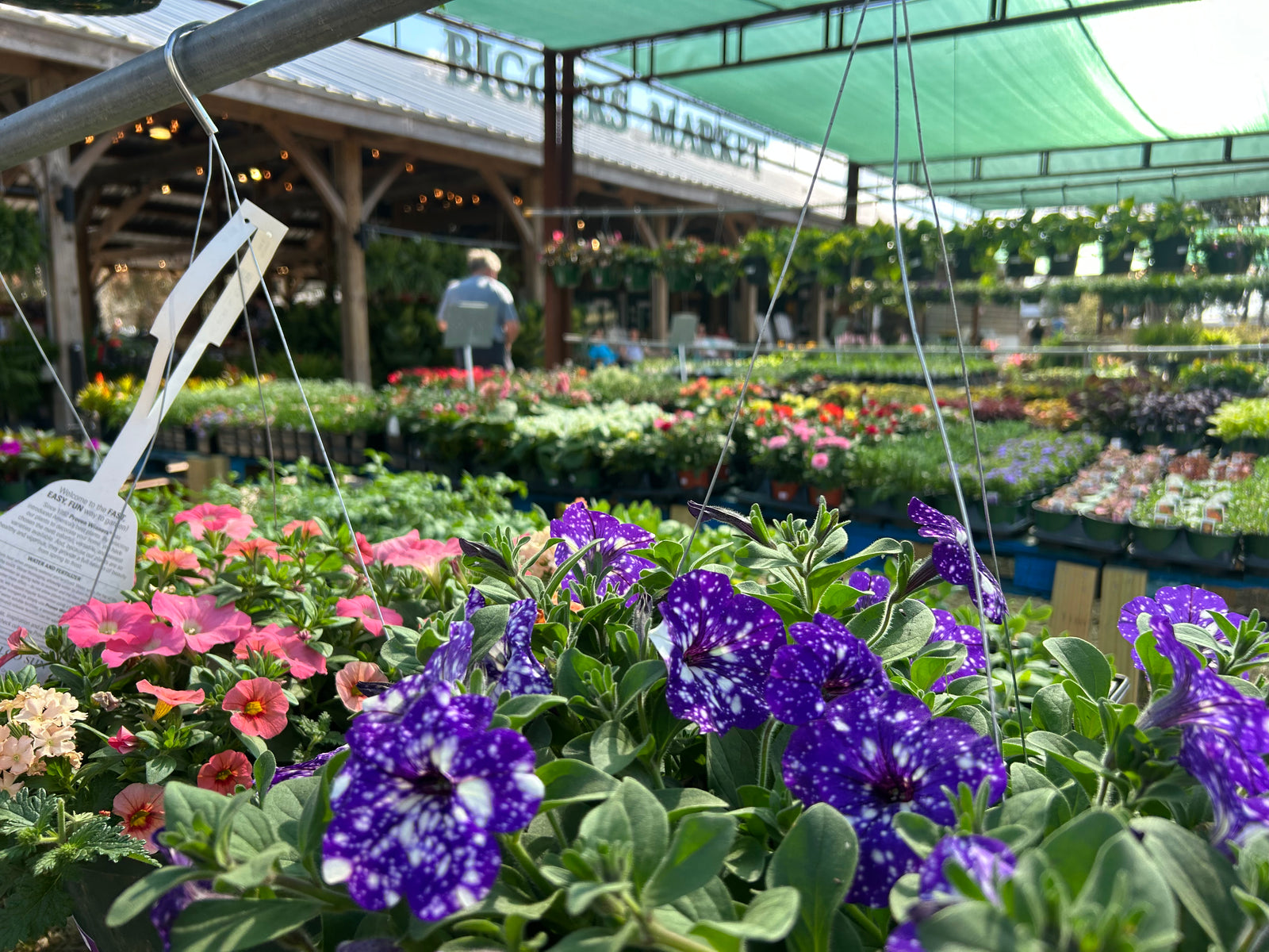 Seasonal displays at Biggers Market on Market Street