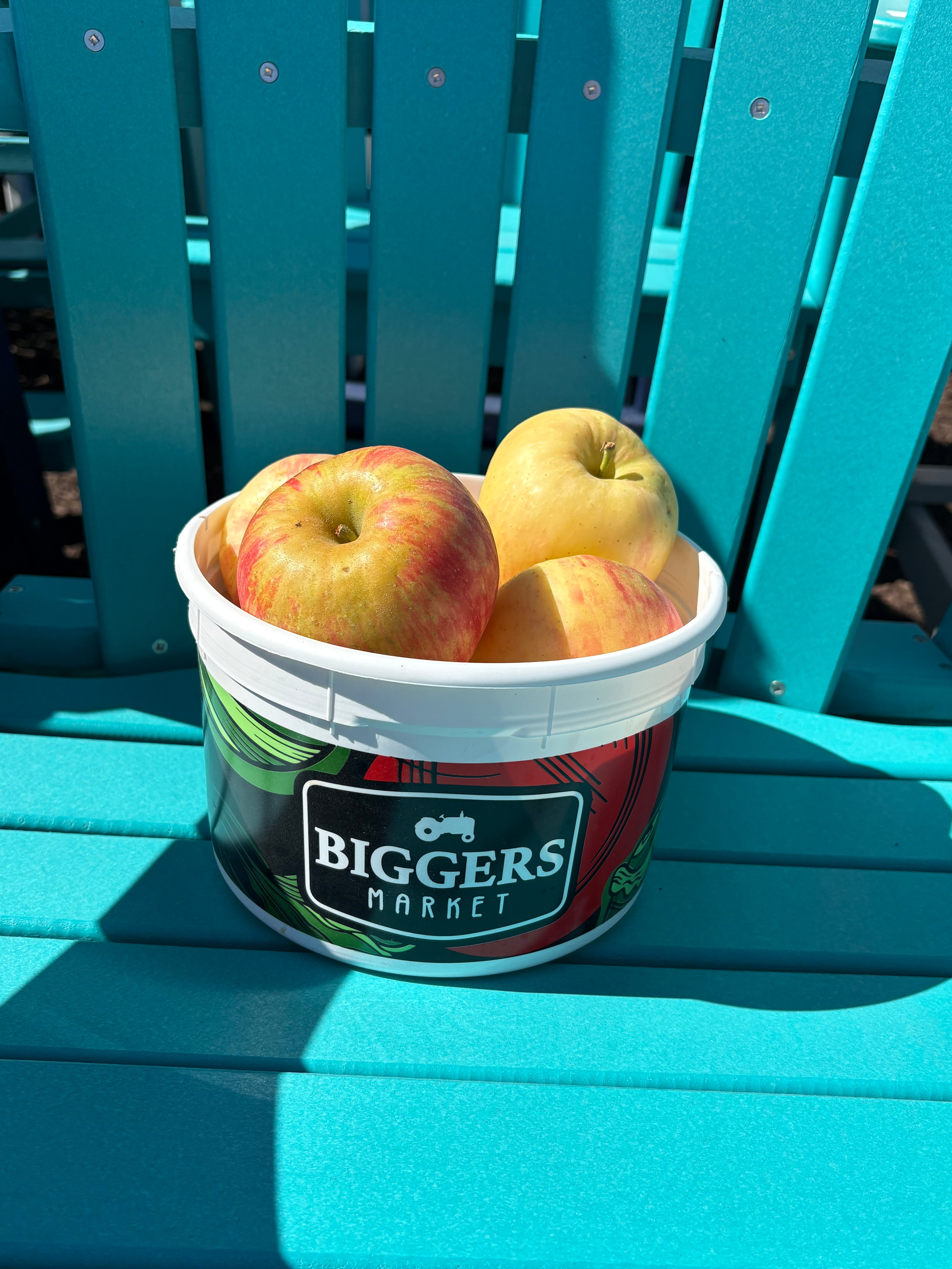 Honey Crisp Apple Bucket - approx. 5 lbs