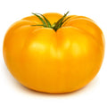 Tomatoes Yellow - Vine Ripe 1 count