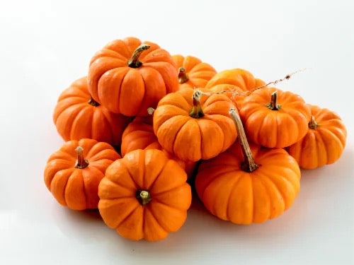 Pumpkin- Orange Mini (2 count)