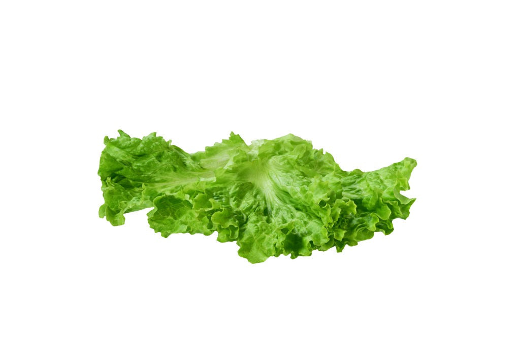 Lettuce- Leaf