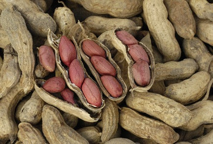 Peanuts- Raw Green- 1 lb.