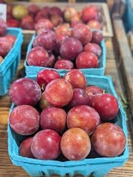 SC Sugar Plums- 1 quart