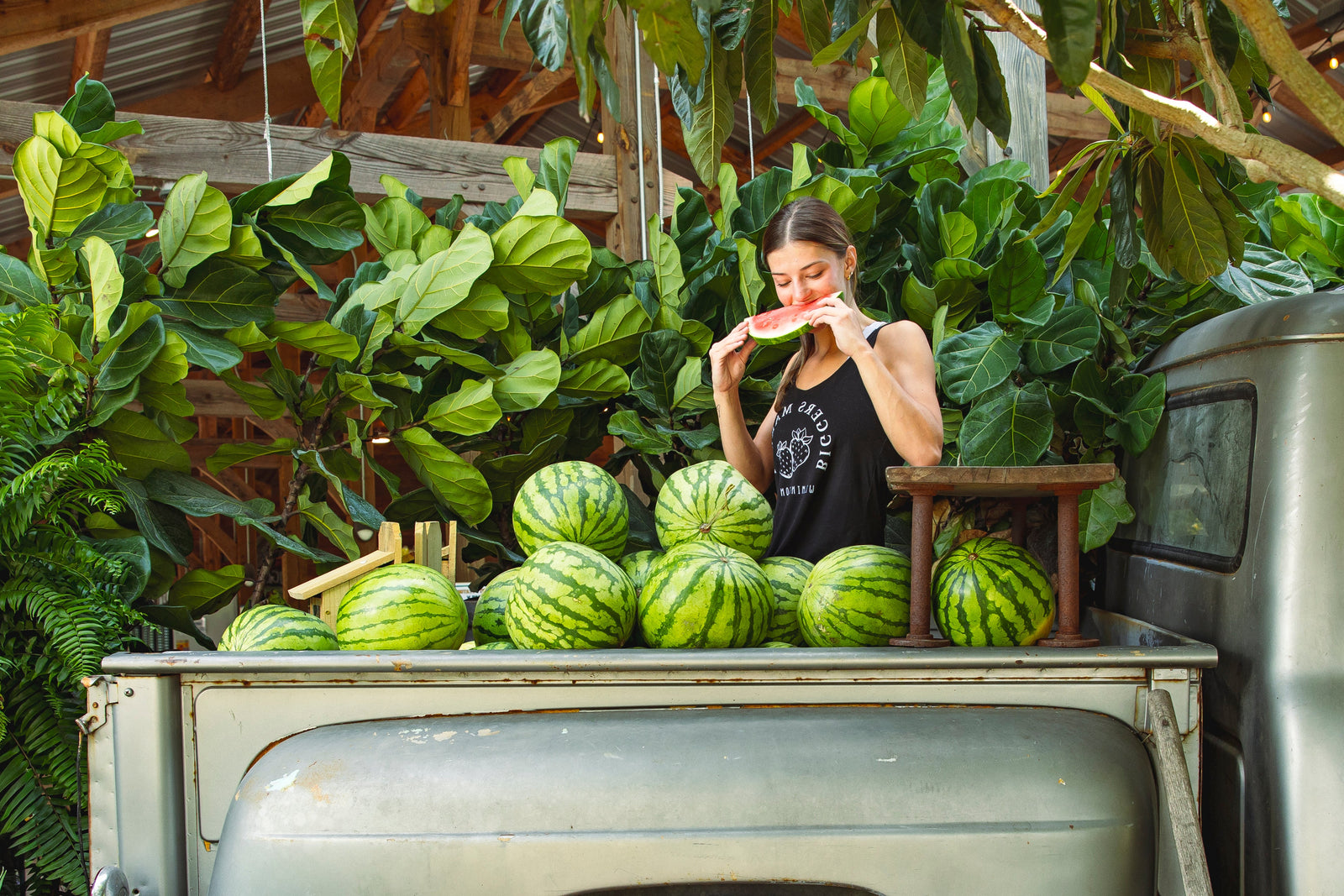Fresh Produce Picks
