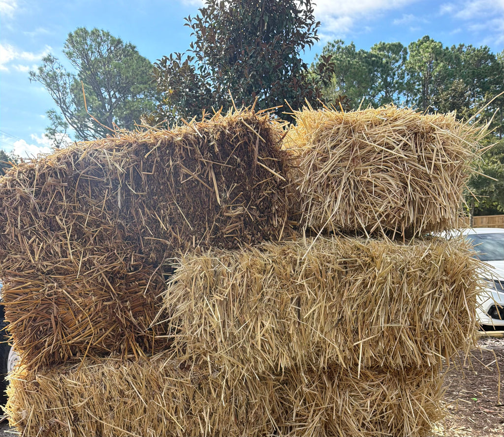 Hay Bale