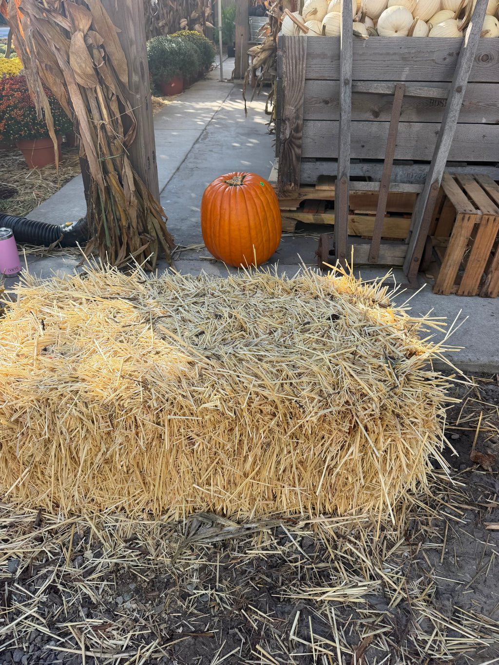 Hay Bale