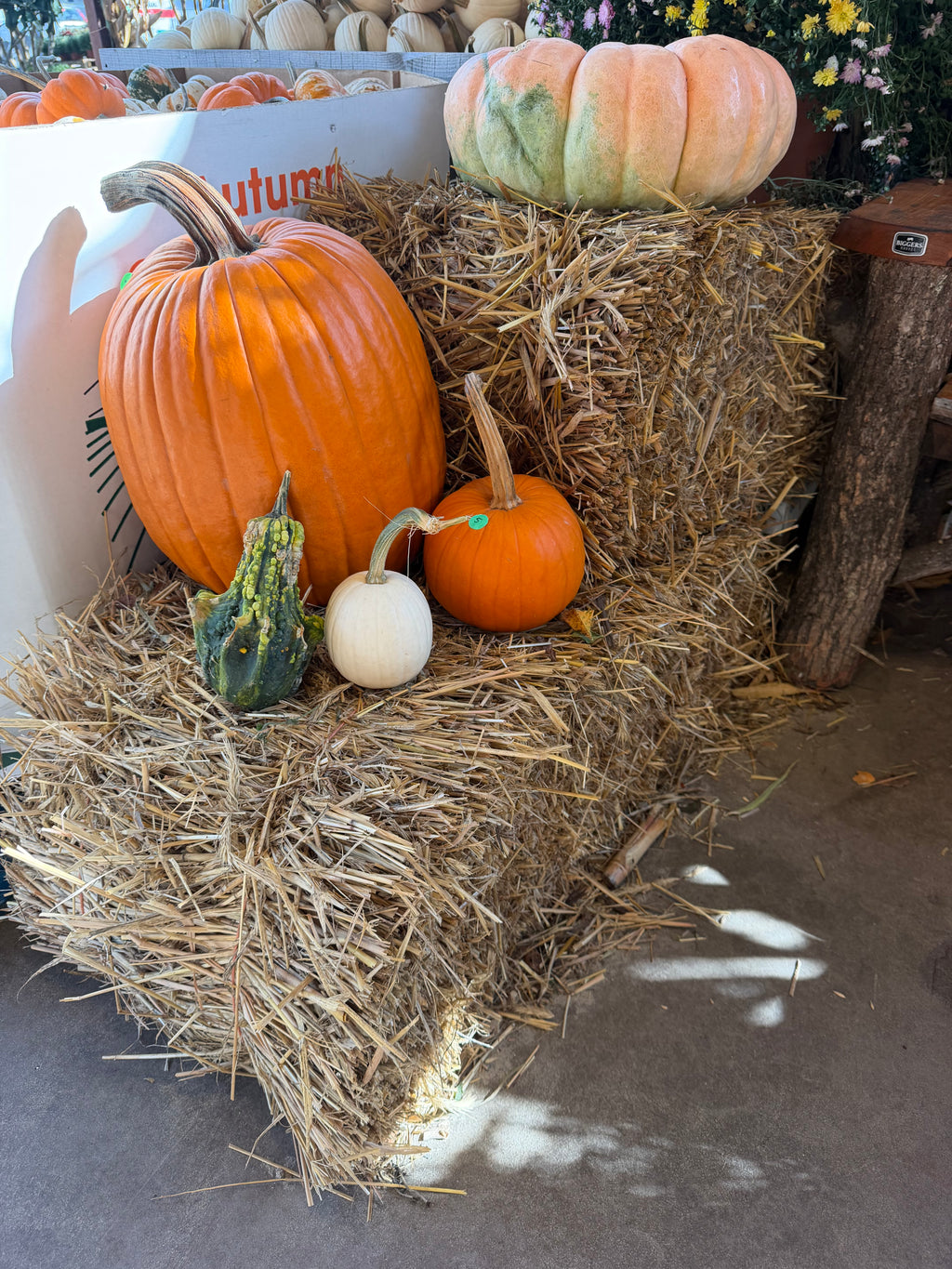 Hay Bale