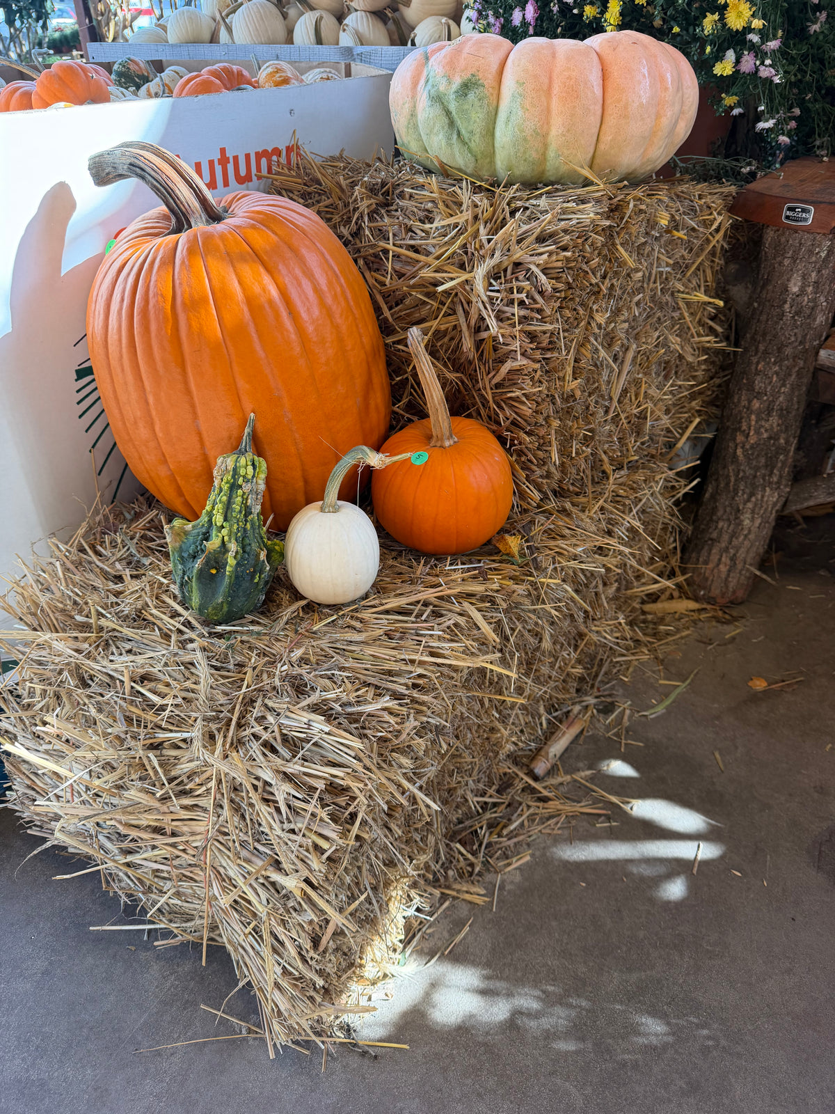 Hay Bale