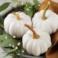 Pumpkin - White Mini (2 count)