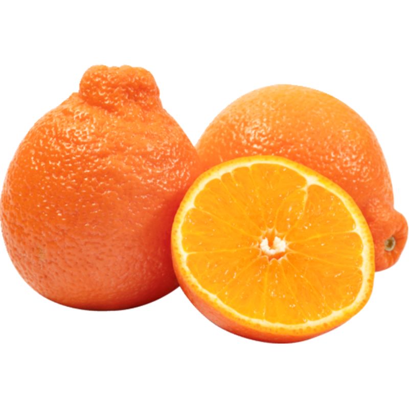 Citrus- Minneola Tangelo- 1 count