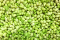 Peas- Field - Shelled LOCAL - 1 lb. (type may vary, no requests)