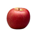 Apple - Cosmic Crisp 2 count