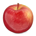 Apple - Fuji 2 count