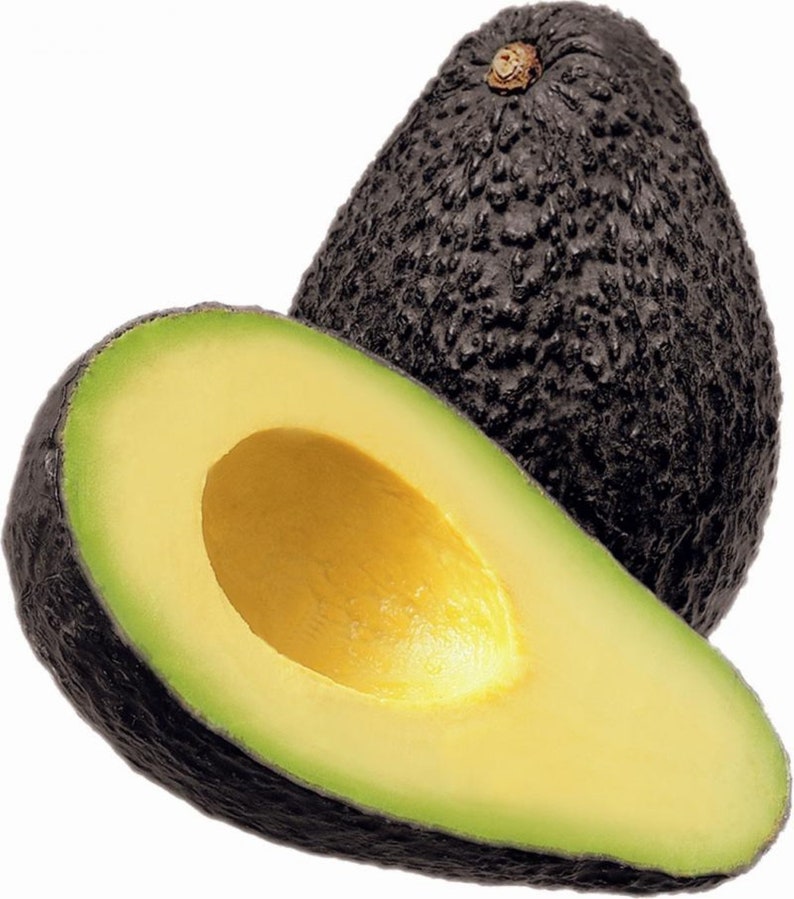 Avocado