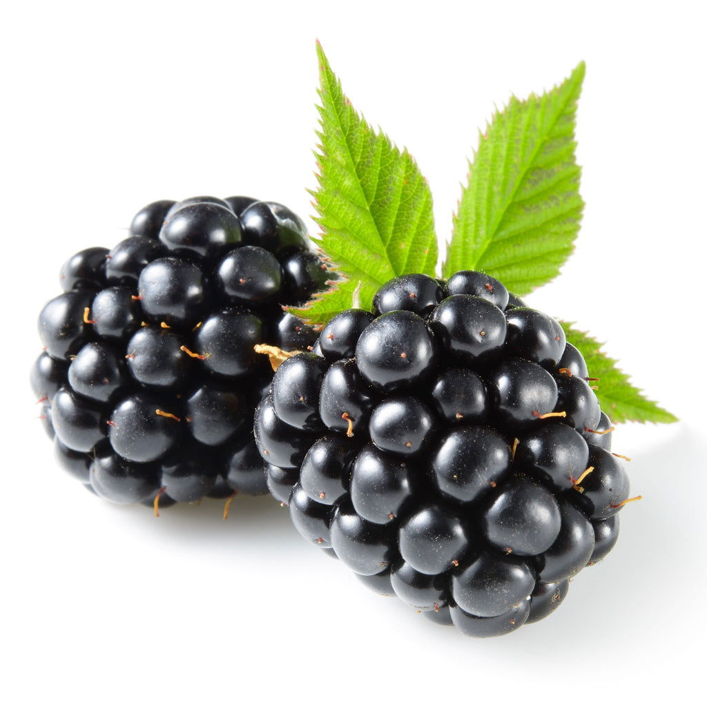 Blackberries (1 Pint)