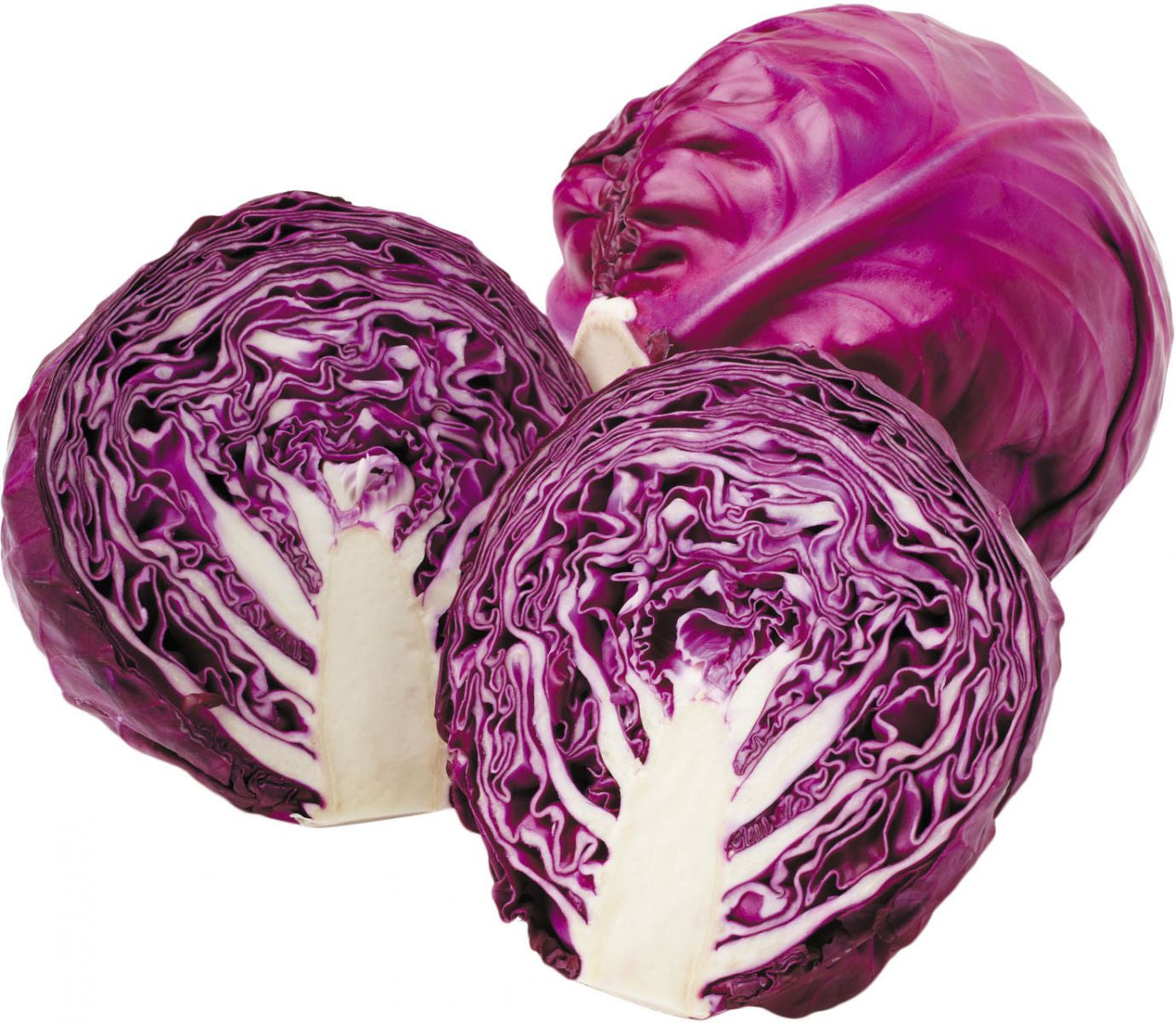 Cabbage- Purple- 1 head
