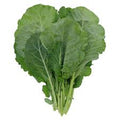 Collard 1 Bunch Organic- LOCAL
