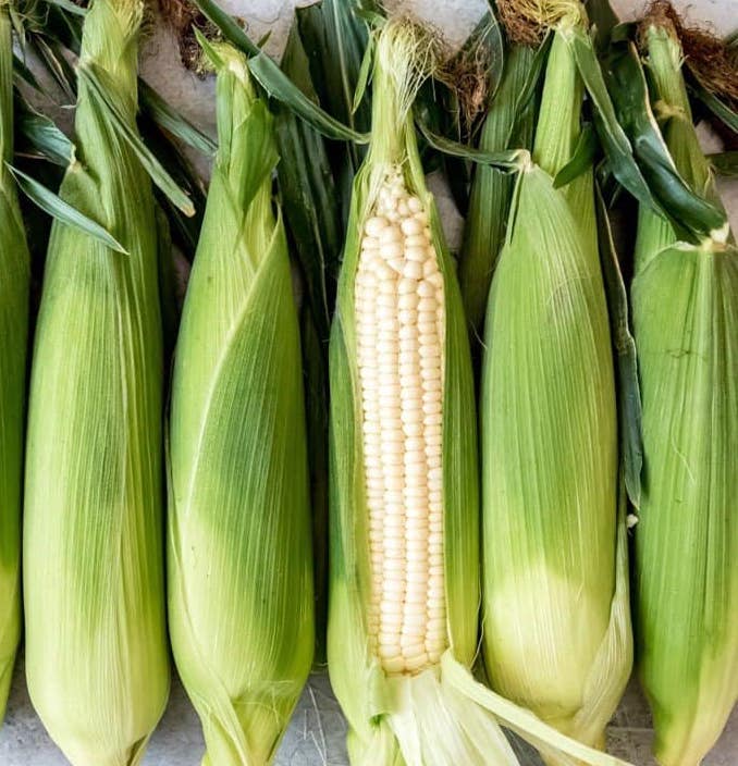Corn - Sweet White 1 count- LOCAL