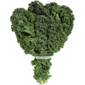 Kale - 1 bunch LOCAL