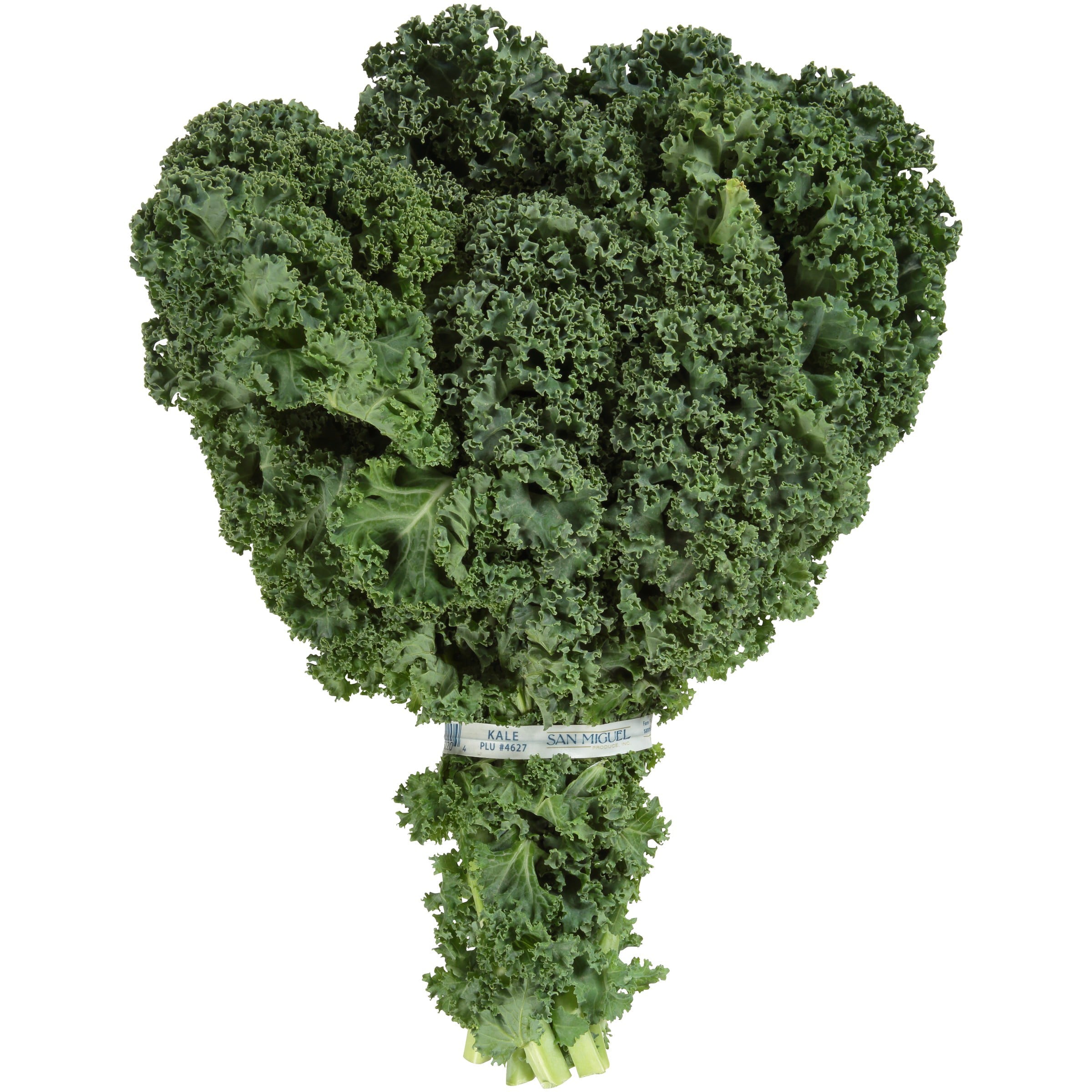 Kale - 1 bunch LOCAL