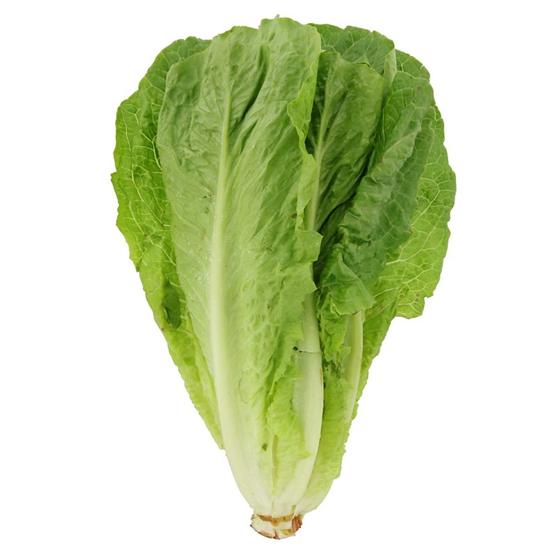 Lettuce- Romaine - 1 head