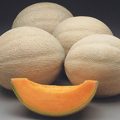 Melon- Cantaloupe- 1 count