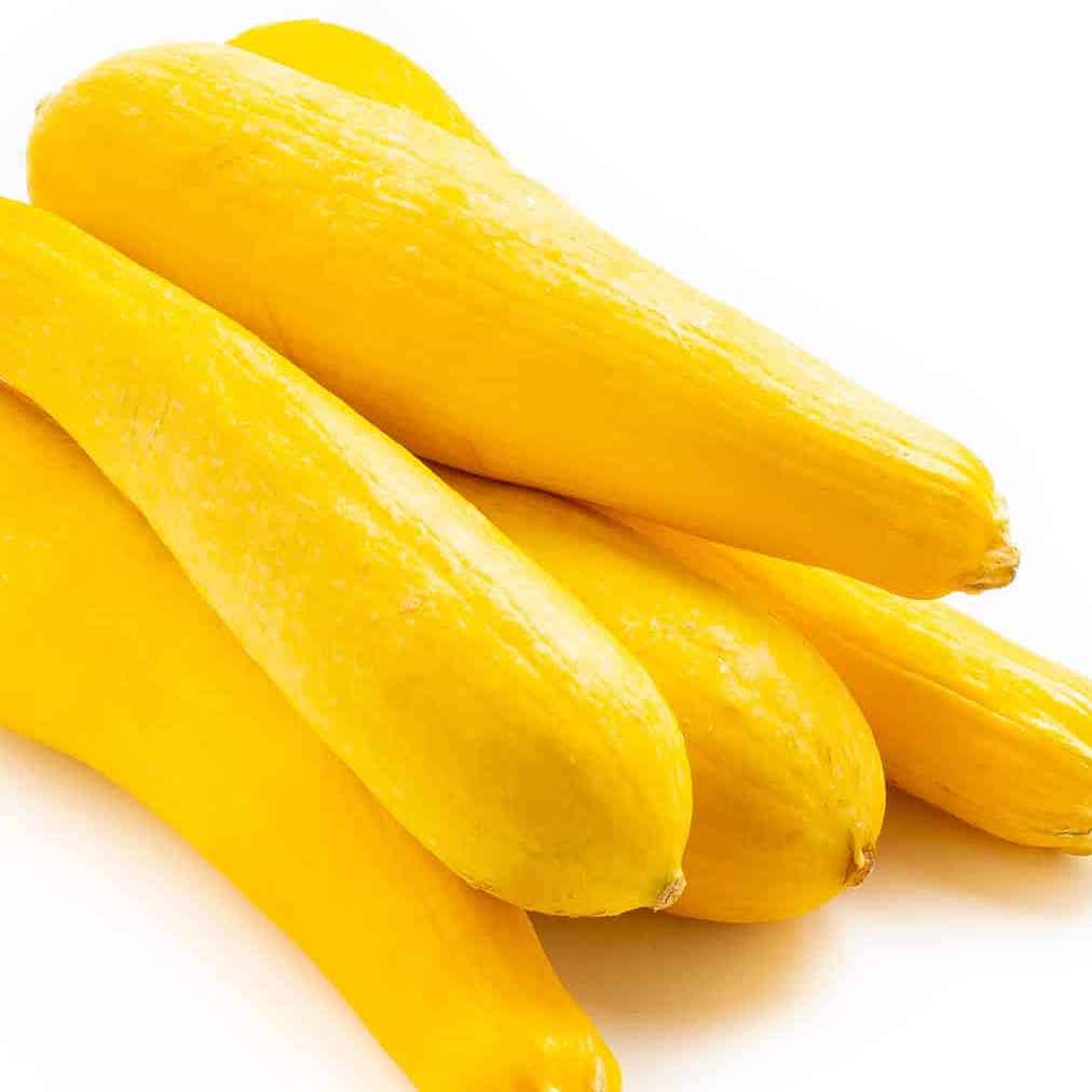 Squash- Yellow- 2 ct.- LOCAL & ORGANIC