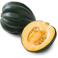 Squash- Acorn - 1 count