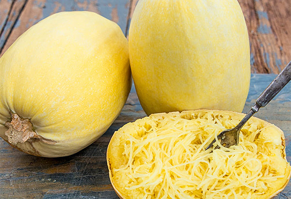Squash- Spaghetti- 1 ct.